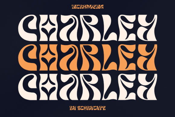 Charley Display Font for Elegant Handmade Designs