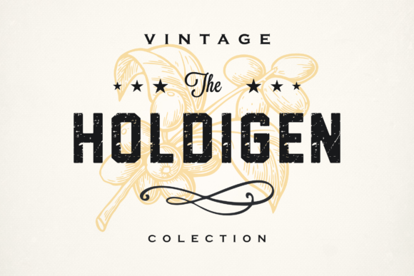 Holdigen Display Font for Bold Digital Branding